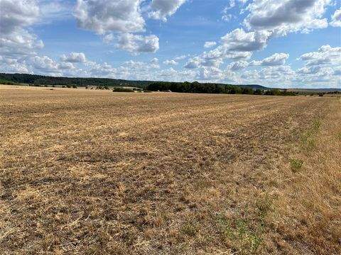 Ipsheim Bauernhöfe, Landwirtschaft, Ipsheim Forstwirtschaft