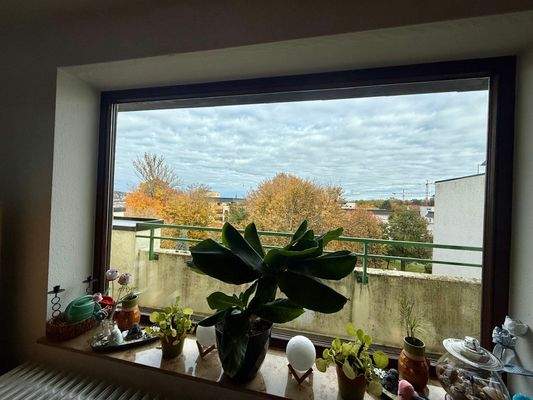 Ausblick vom Wohnzimmer