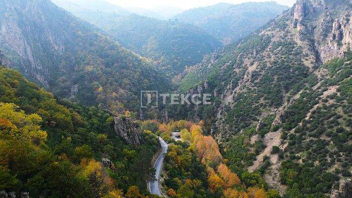 Detached Duplex Villas with Gardens in Bursa