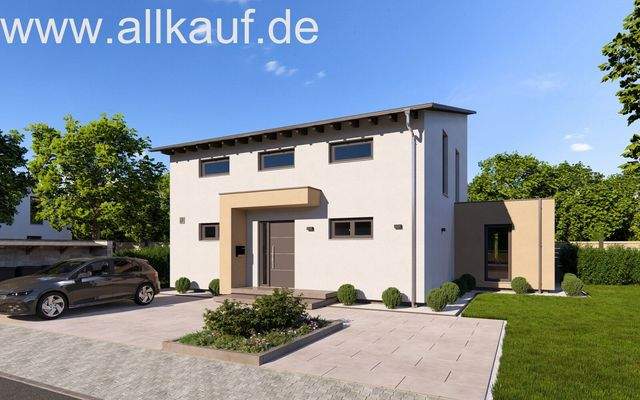 Hausansicht Pultdach