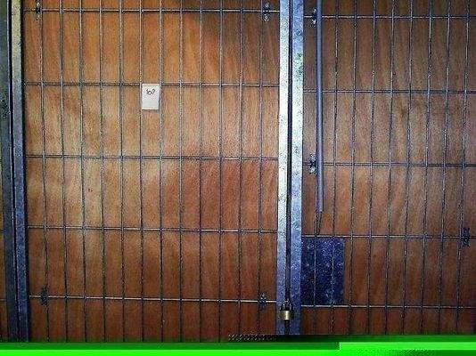 Keller, mit Sichtschutz, Strom, Licht.2020