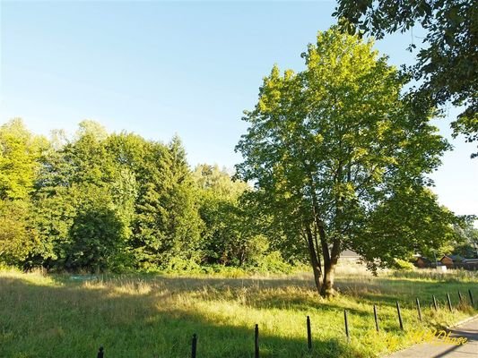 Ein wunderschöner Platz im Grünen