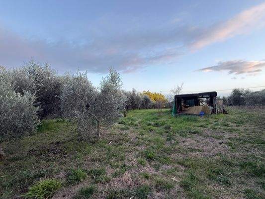 Grundstück-Olivenhain-4001-05