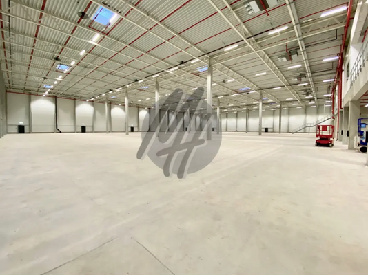 INFOS UNTER: 06171-586000