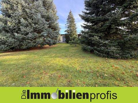 Plauen Häuser, Plauen Haus kaufen