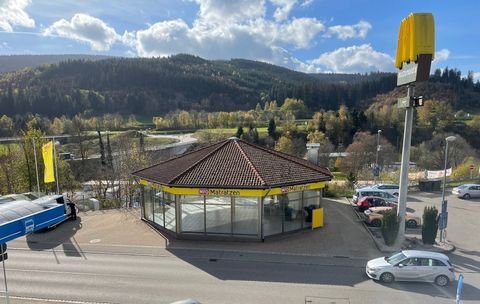 Titisee-Neustadt Halle, Titisee-Neustadt Hallenfläche