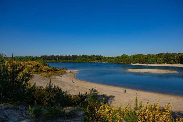 Ferienhaus-Holland-kaufen13