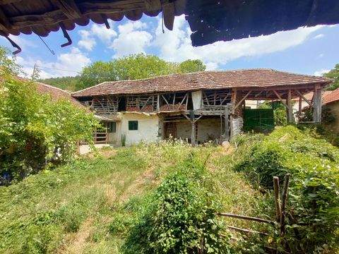 Bela Palanka Häuser, Bela Palanka Haus kaufen