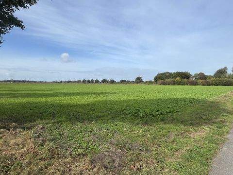 Weyhe / Sudweyhe Bauernhöfe, Landwirtschaft, Weyhe / Sudweyhe Forstwirtschaft