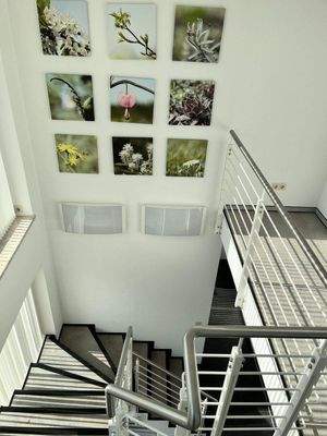 heller freundlicher Aufgang 