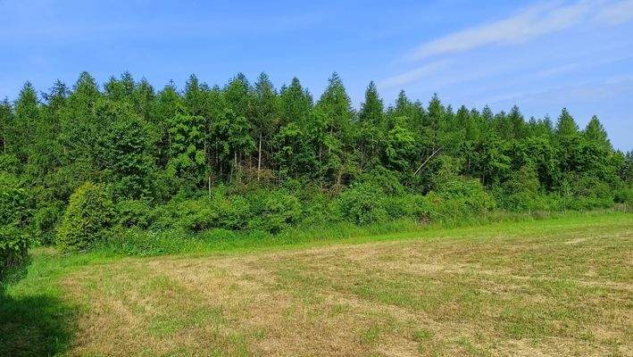 AlteZschopauer (3).jpg