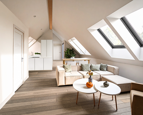 DG2 Wohnung_Projekt_FN_Haushammer_Bearbeitet.png