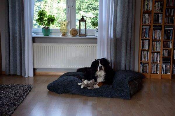 Hier fühlt sich jeder wohl