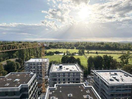 Blick zu den Leineauen