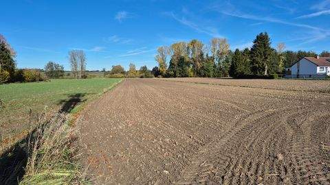 Markt Indersdorf Bauernhöfe, Landwirtschaft, Markt Indersdorf Forstwirtschaft
