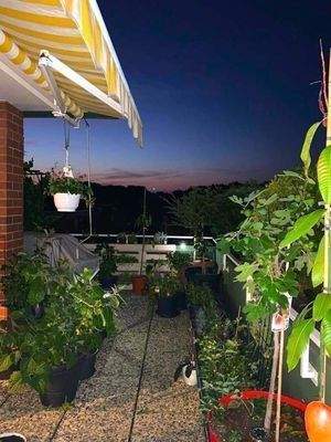Ein Traum, die Dachterrasse, laue Sommernächte