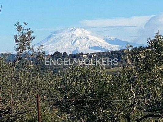 WhatsApp Image 2025-07-16 at 11.28.17.jpg