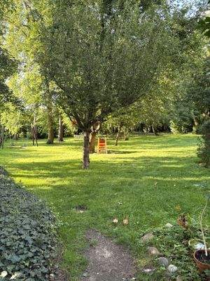 Gemeinschaftsgartenfläche