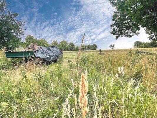 Teilansicht Grundstück