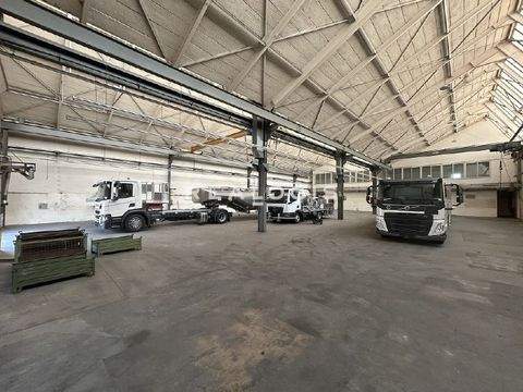 Reinbek Halle, Reinbek Hallenfläche