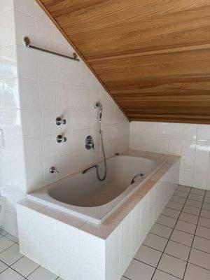 Badezimmer Hauptwohnung 2