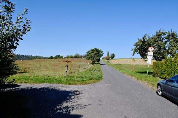 traumhafte Feldrandlage.JPG