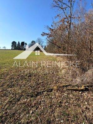 Überblick Baugebiet