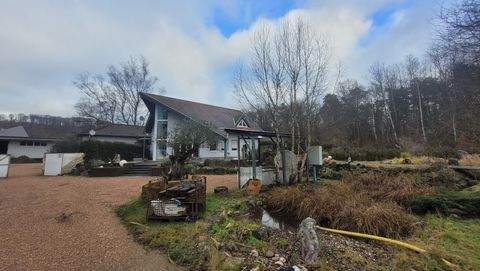 Falck Häuser, Falck Haus kaufen