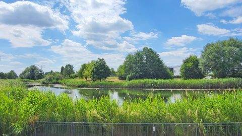Teltow Bauernhöfe, Landwirtschaft, Teltow Forstwirtschaft