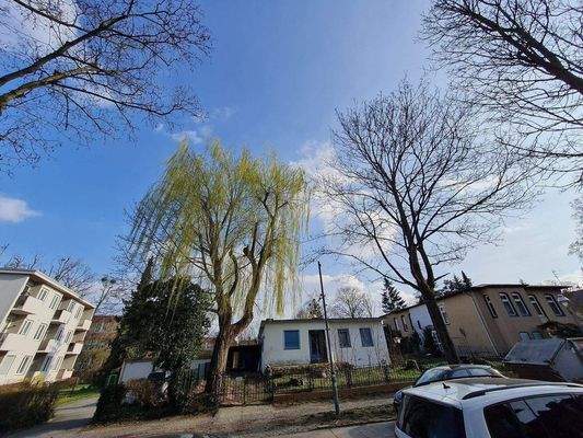 Blick zum Grundstück.jpg