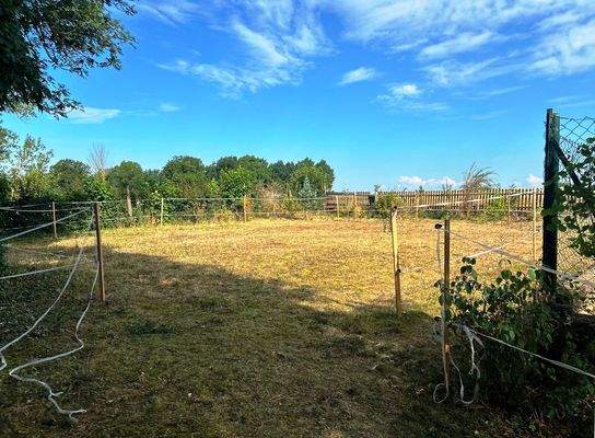 Koppel hinter dem Haus