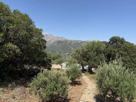 Kreta, Exo Lakkonia: Villa auf dem Land mit Pool, Olivenhain und Bergblick zu verkaufen