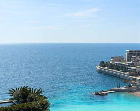 Monaco Wohnungen, Monaco Wohnung kaufen