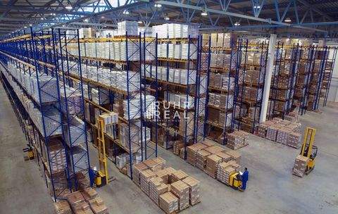 Alsdorf Halle, Alsdorf Hallenfläche