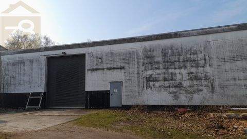 Sassenburg Halle, Sassenburg Hallenfläche