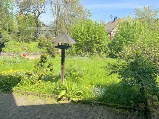 Gartenansicht 1