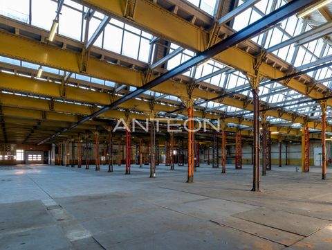 Duisburg Halle, Duisburg Hallenfläche