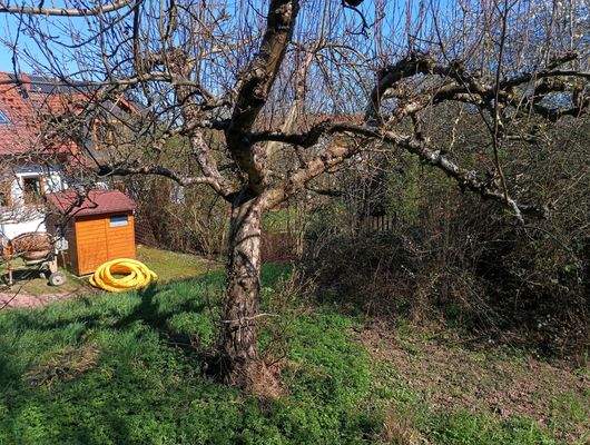 Hintere Grundstücksgrenze