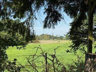 ..direkt angr. an Wiesen/Felder