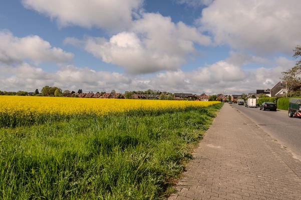 Straßenzug entlang der Felder &quot;Die schmalen Enden&quot;