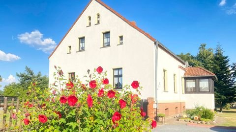 Zechin Häuser, Zechin Haus kaufen