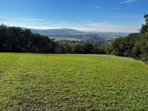 Tulbing Bauernhöfe, Landwirtschaft, Tulbing Forstwirtschaft