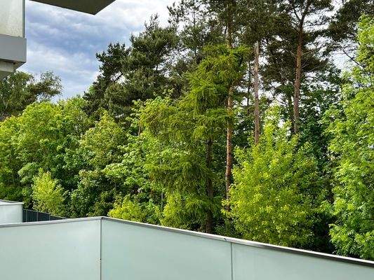 Truemper-Immobilien-Ferienwohnung Rewal00024