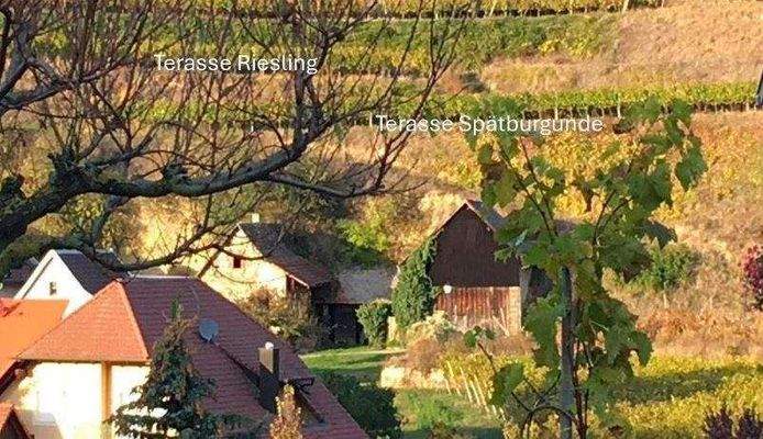 Bildschirmfoto 2025-09-03 um 09.00.56.jpg