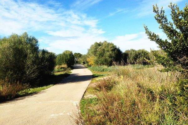 Gut ausgebaute Straßen führen zu den Grundstücken in Muro