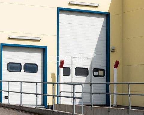 Neuss Halle, Neuss Hallenfläche