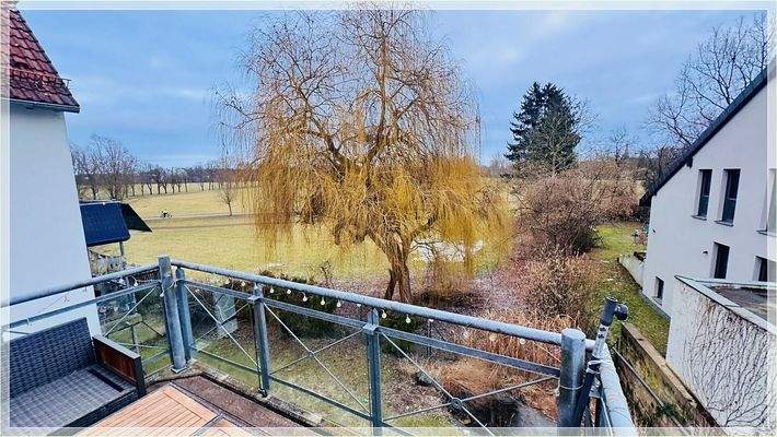 Blick vom Balkon in den Wiesengrund