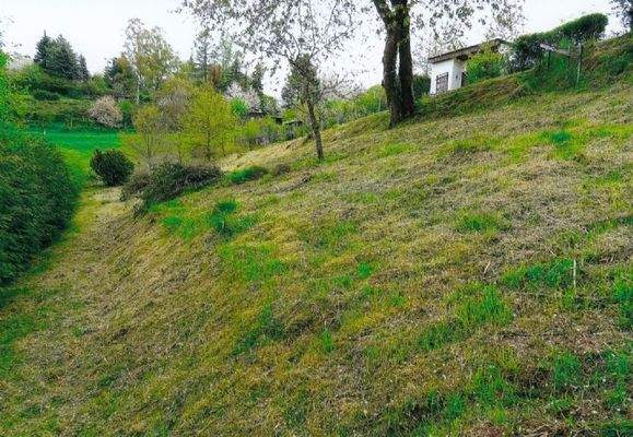 Garten - Teilansicht