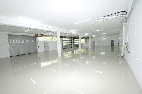 Höchberg Halle, Höchberg Hallenfläche