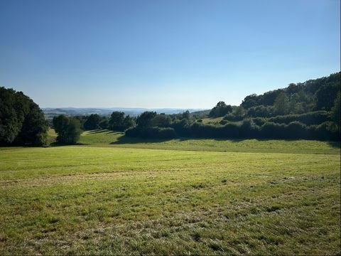 Dörentrup Bauernhöfe, Landwirtschaft, Dörentrup Forstwirtschaft